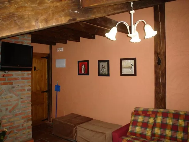 Apartamentos 1 habitación