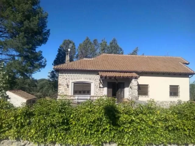 El Pinar 