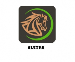 Logo Suites Palomera