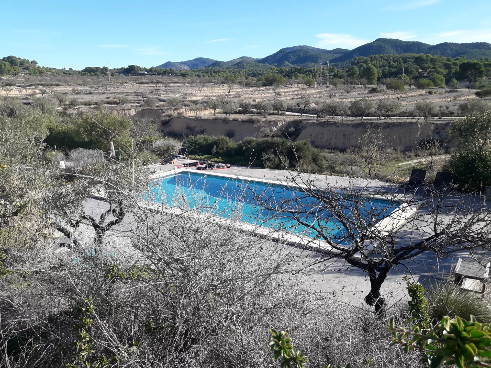 JOSE IGNACIO OLAECHEA DE MIGUEL en su estacia en Finca El Pao 1126_1