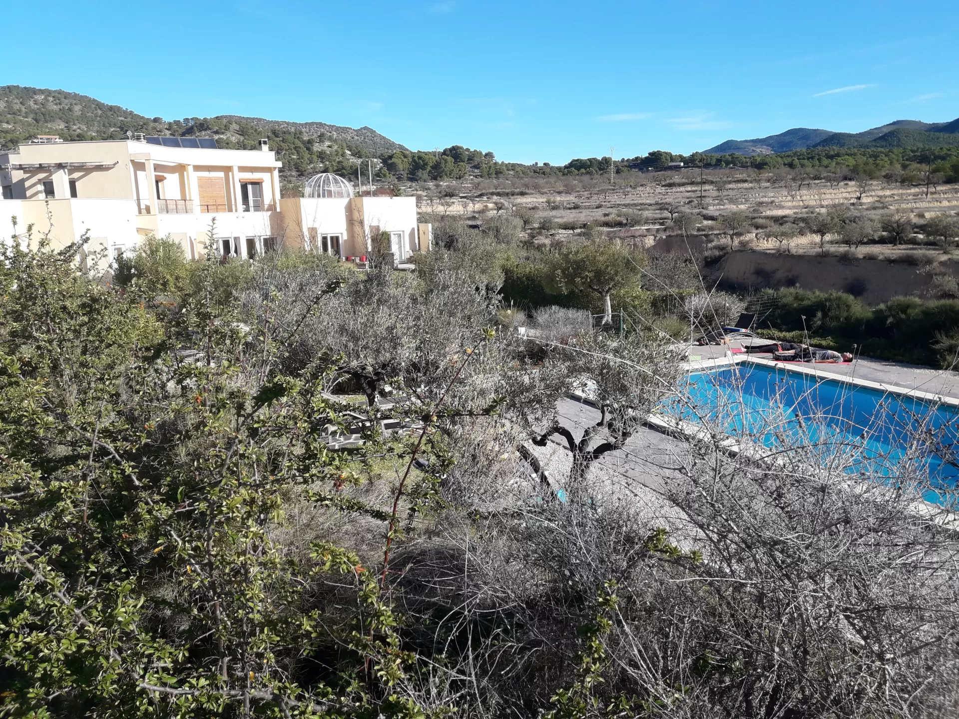 JOSE IGNACIO OLAECHEA DE MIGUEL en su estacia en Finca El Pao 1126_4