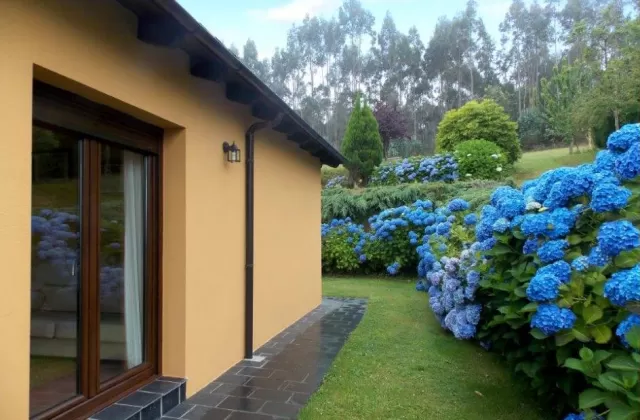 Amarelo - Apartamentos Guidán