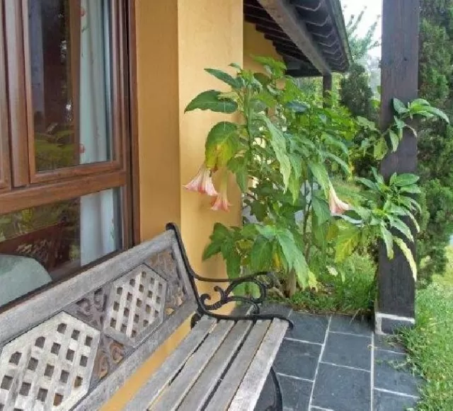 Laranxa - Apartamentos Guidán