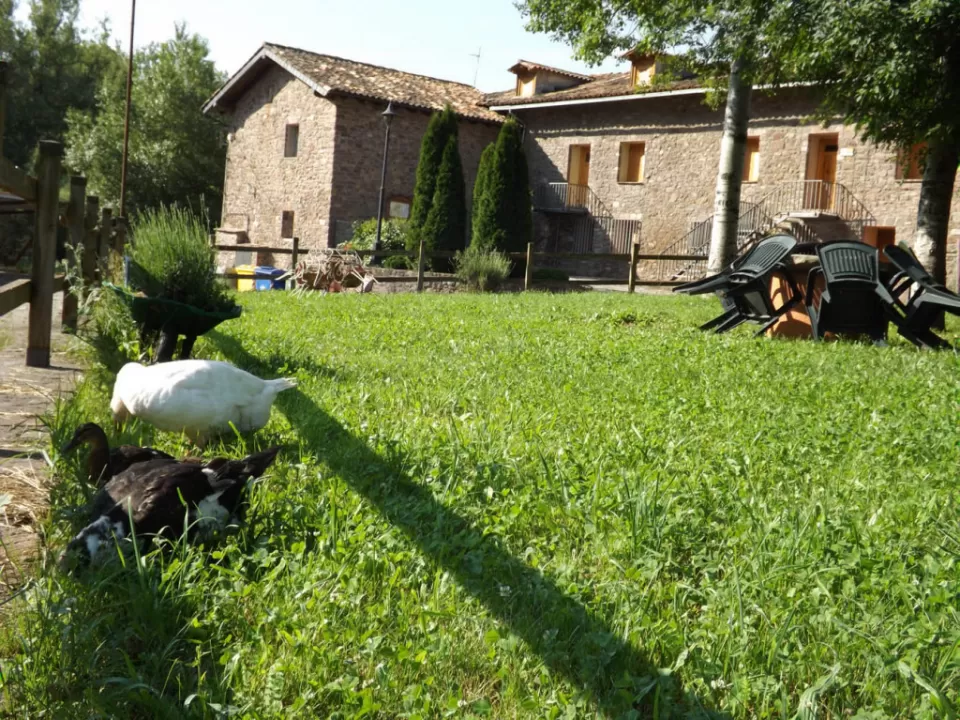 Apartamento Quintana I, II y III