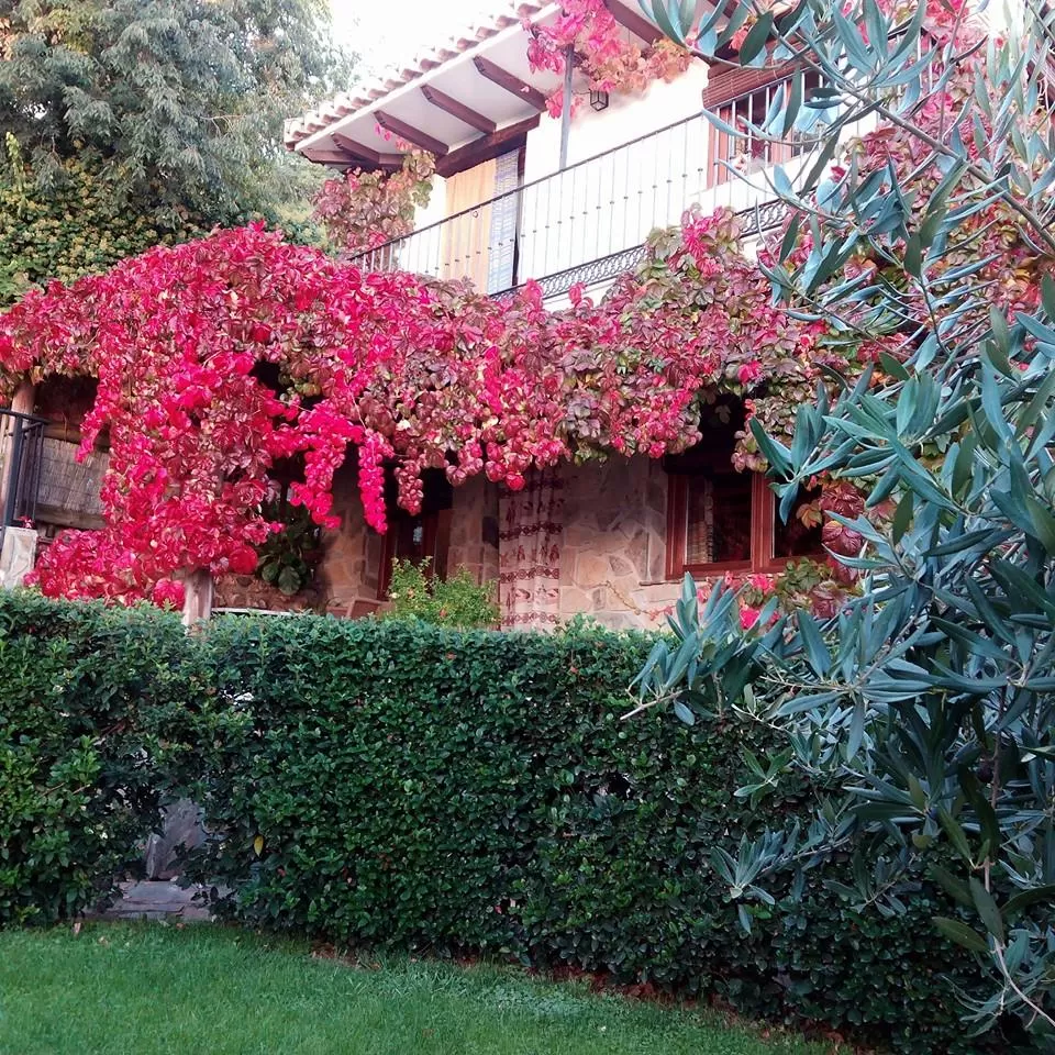 Los Prados I