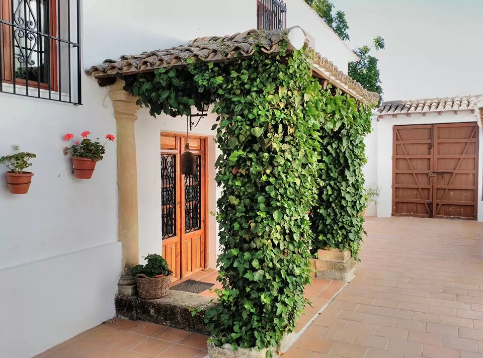 Apartamento Molino