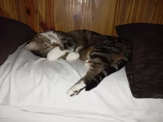 Judith De las Casas in your stay in El Rincó 6215_1