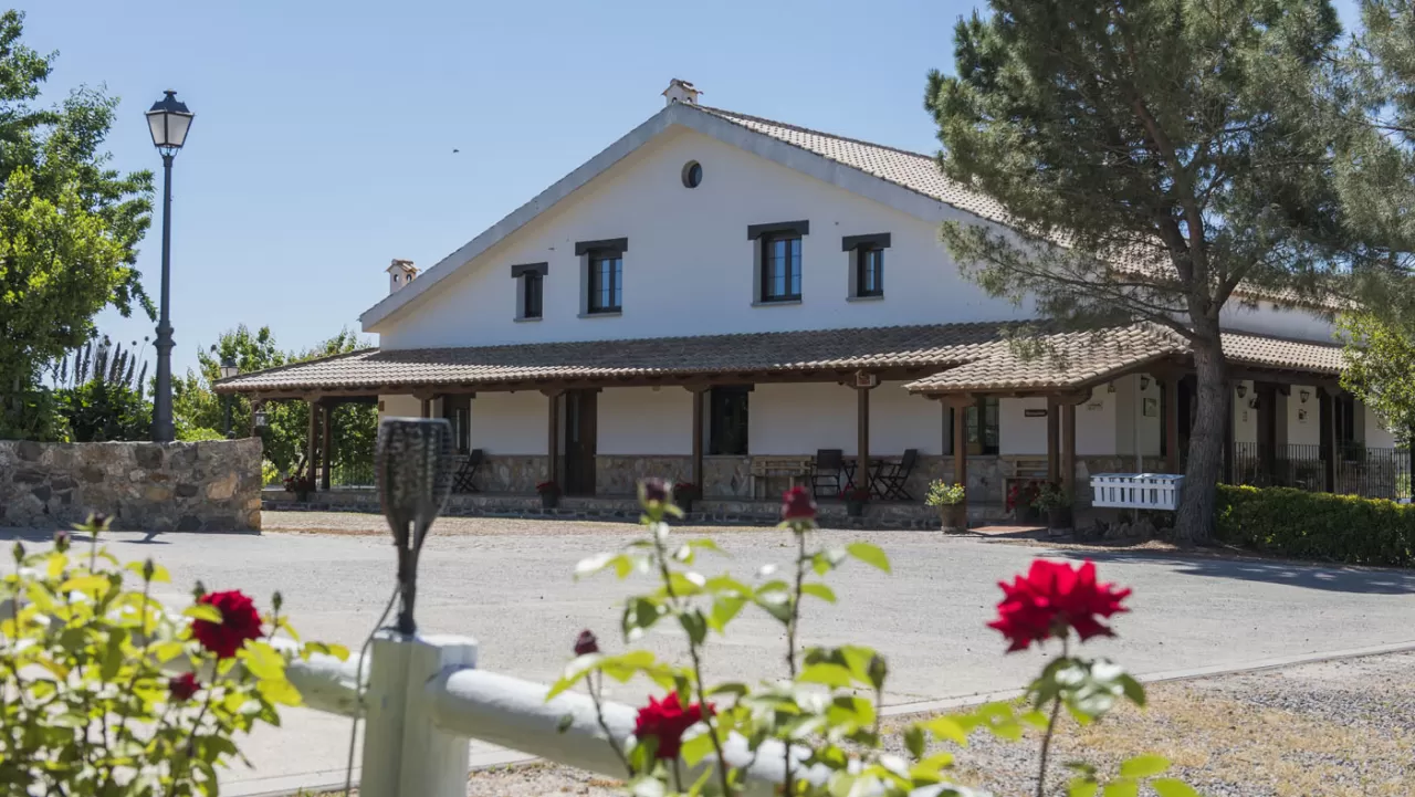 Los Laureles I