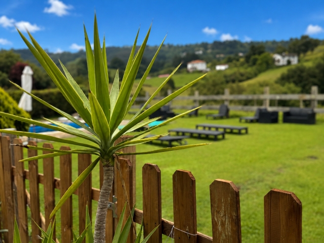 jardin 