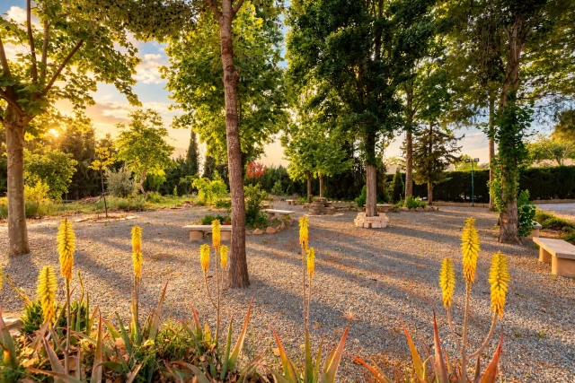 JARDIN