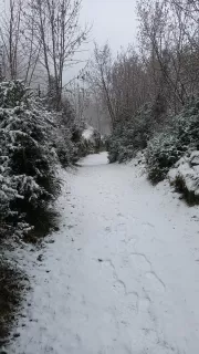 Antonio Giménez González  en su estacia en Casa Río Cinca 6650_2