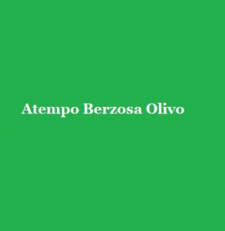 Logo Berzosa Olivo