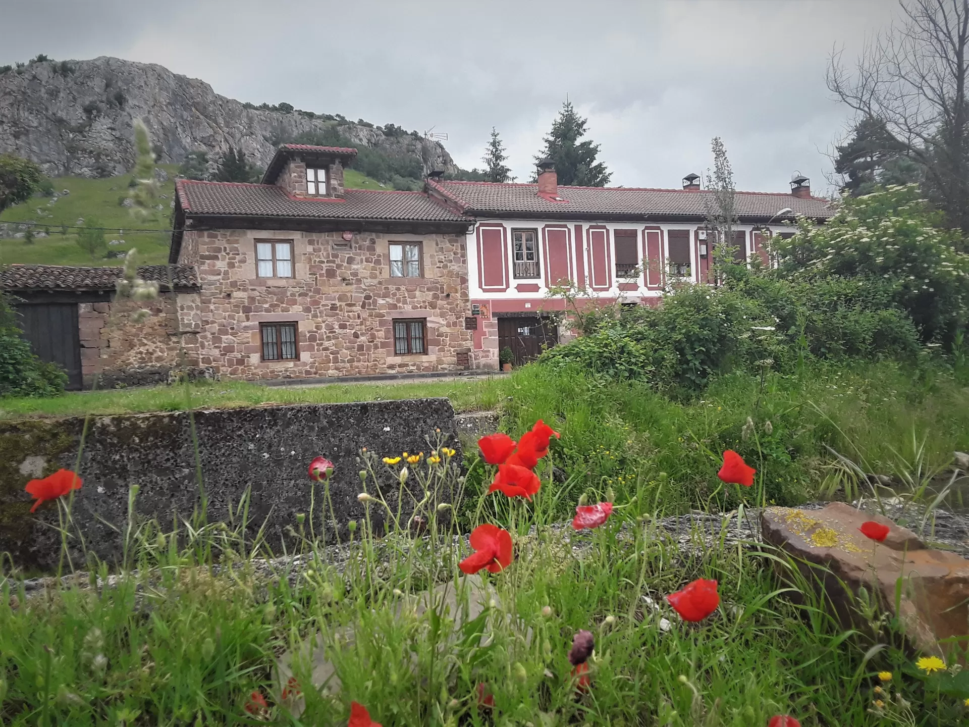 Casa Entrenidos