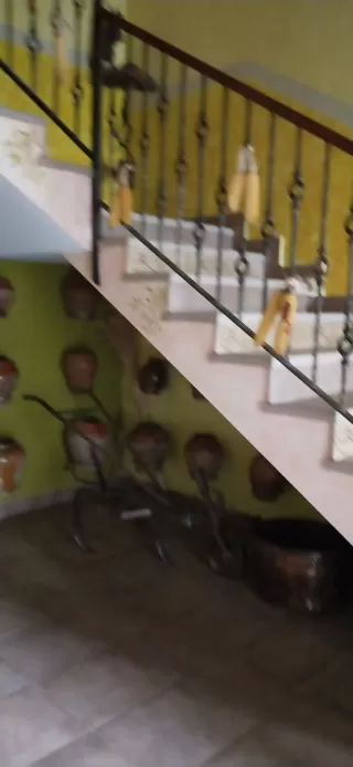 Nuria Muñoz Montes en su estacia en Viña Corona - Condado de San Martín 6267_2