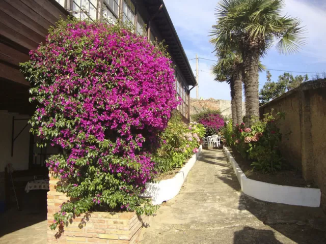 Apartamento Hortensia