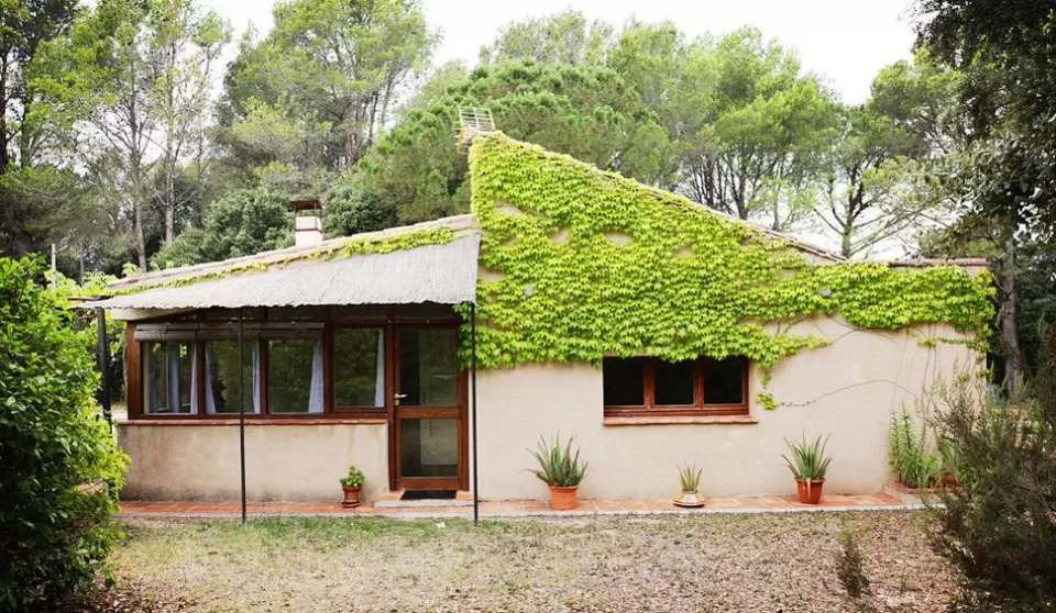 La Vinya petita