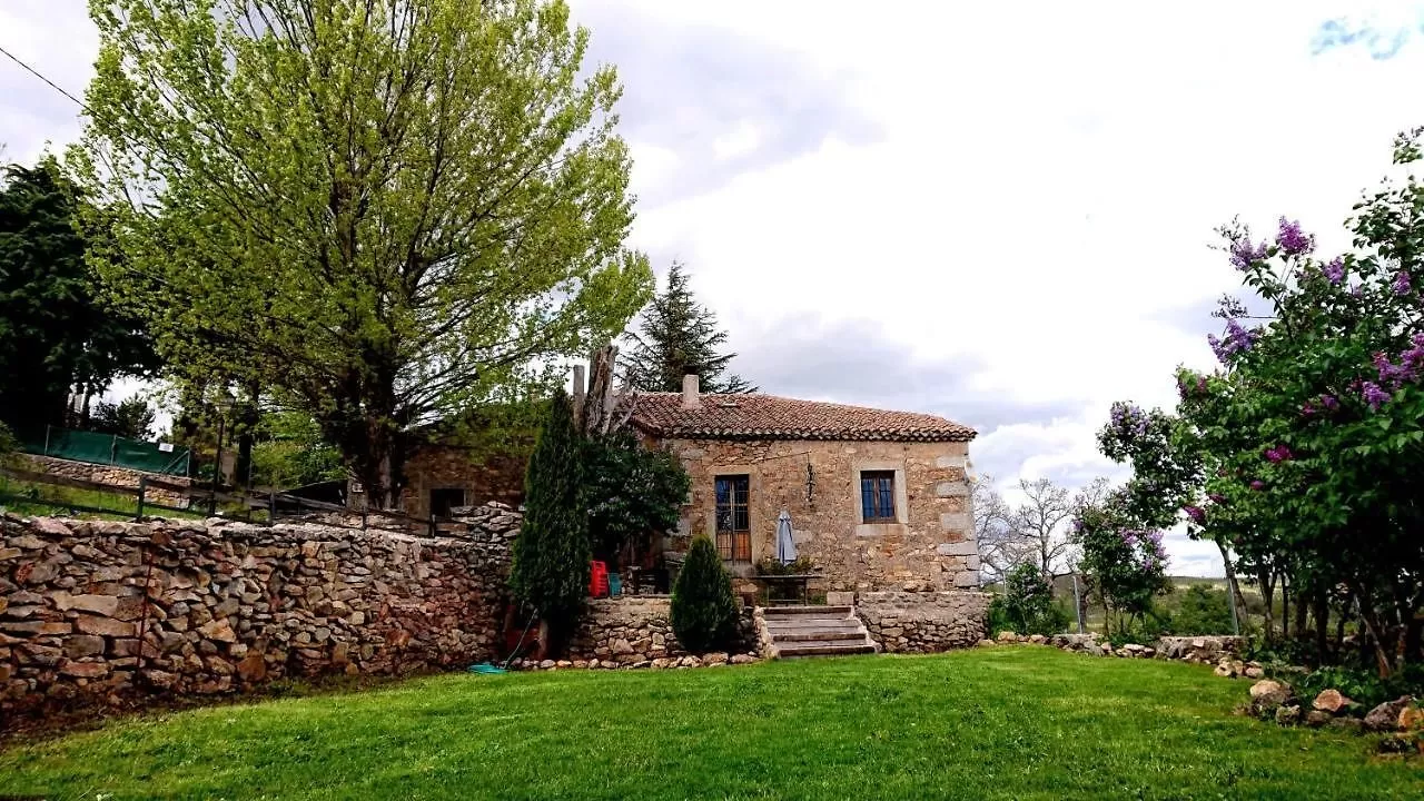 La Insula