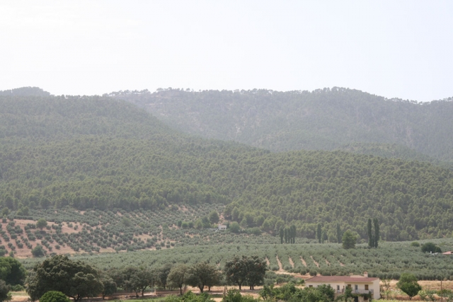 Campos y paisaje de la localidad