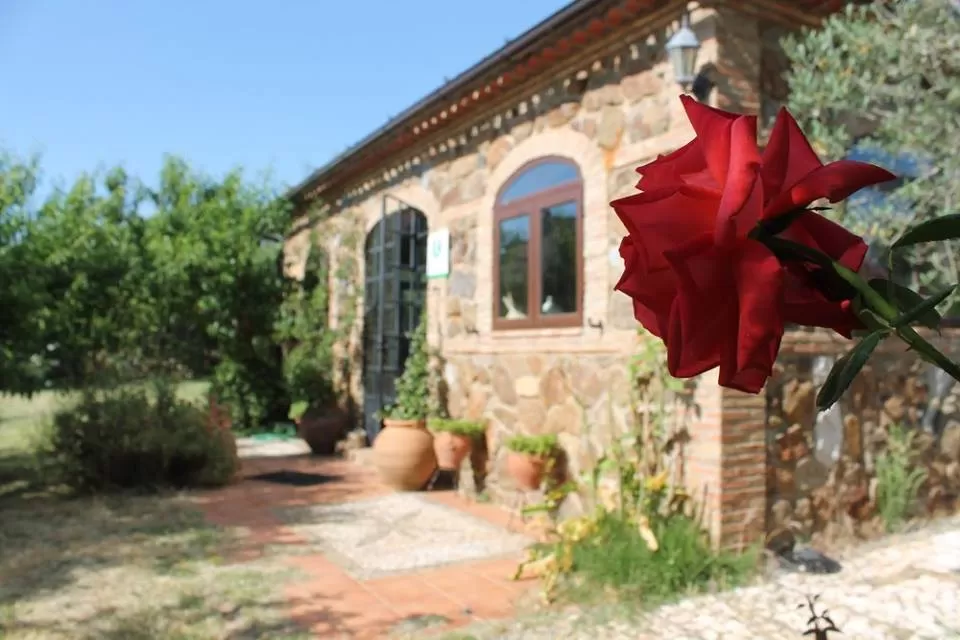 Casa Chantino