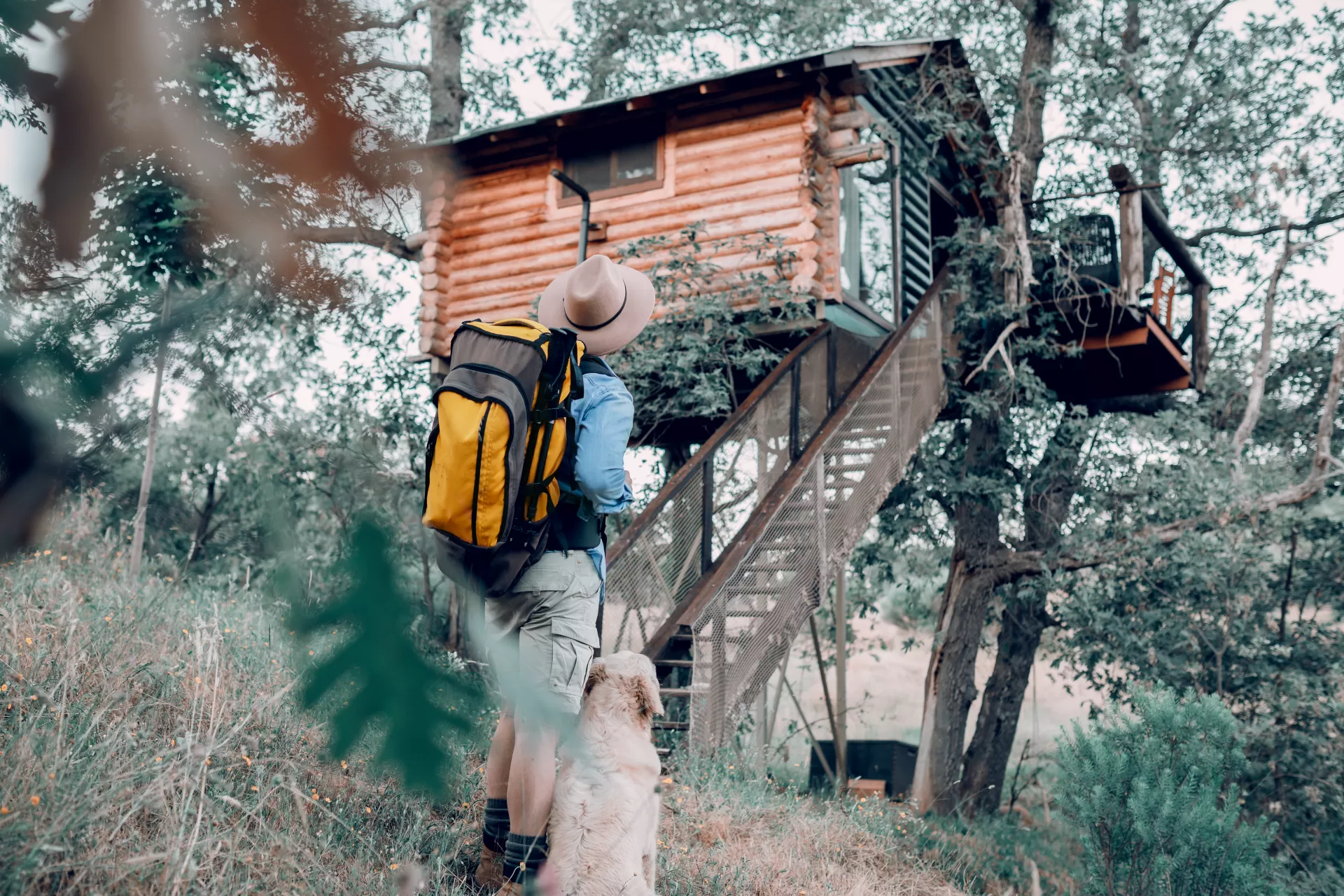 Cabaña Brisa- Dormir en los Árboles