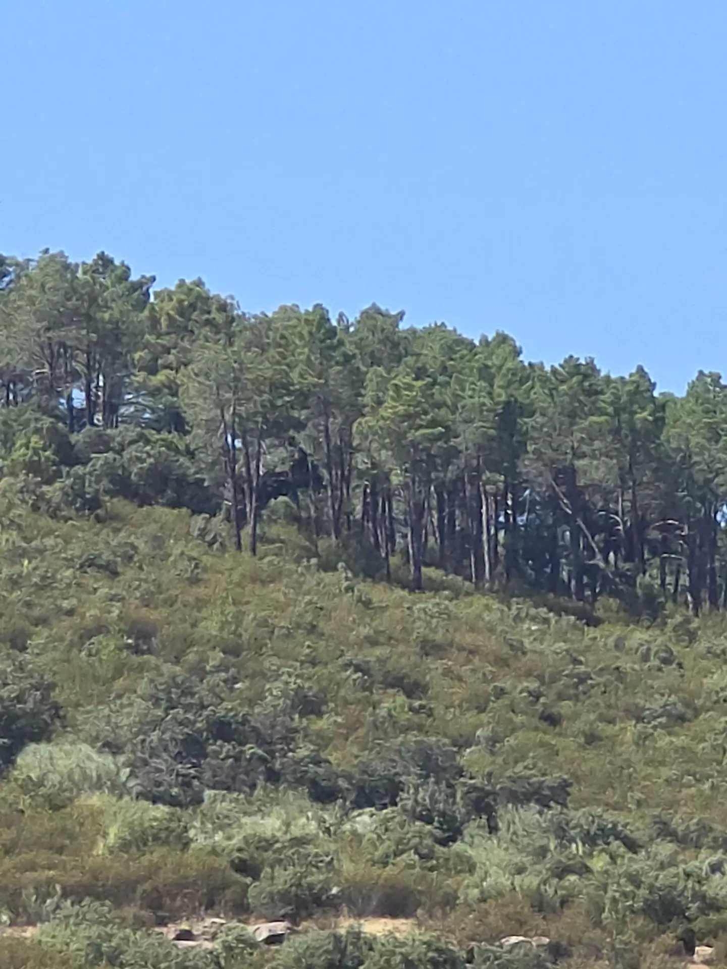Alberto cañizal en su estacia en AlmenaraLove- El Mirador 6143_3