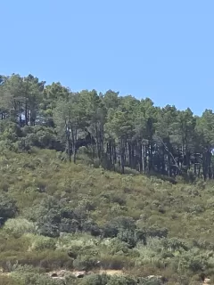 Alberto cañizal  in your stay in AlmenaraLove- El Mirador 6143_3