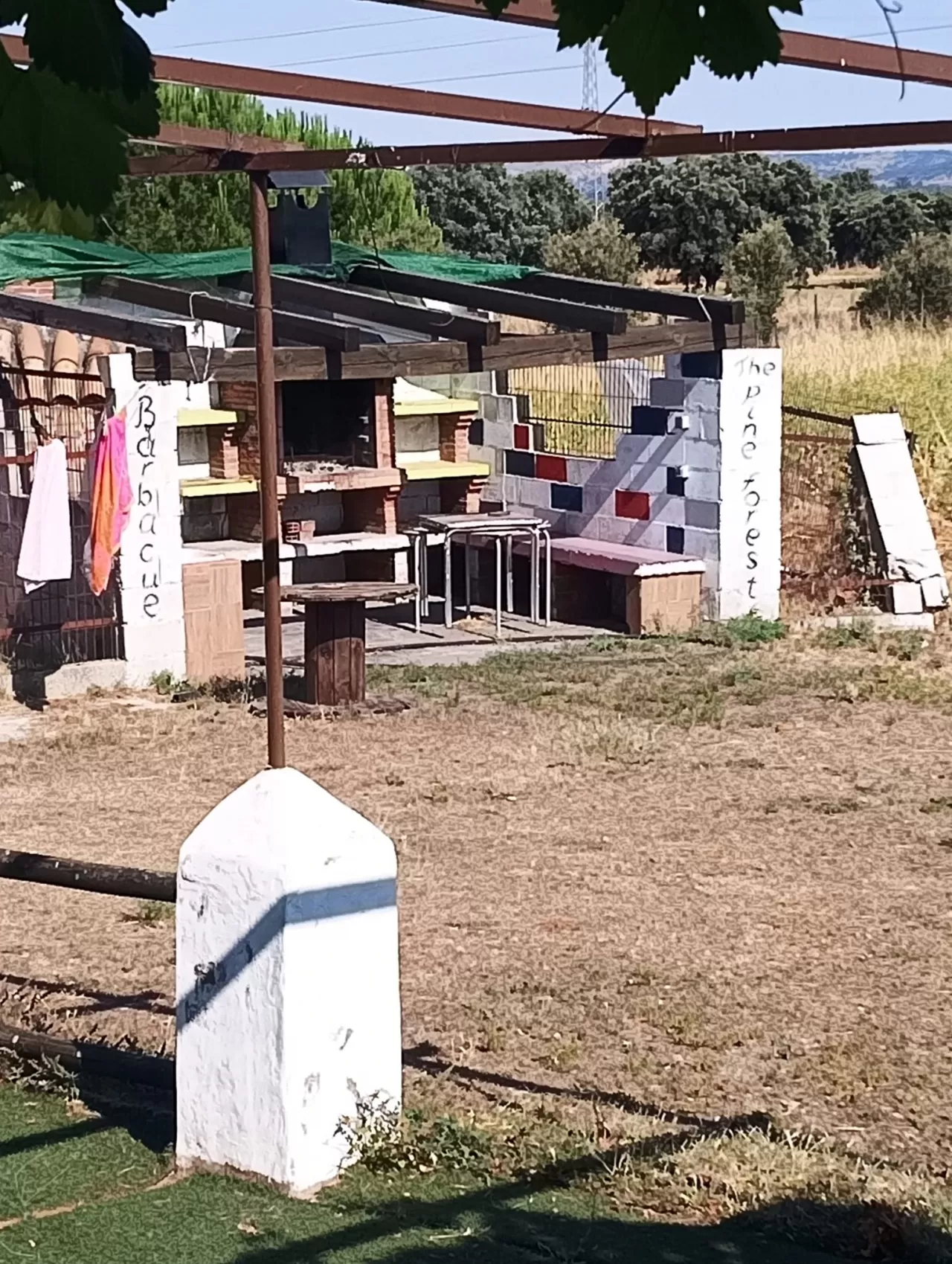 Iraida Sánchez Aguilar en su estacia en Casa Rural El Pinar 6018_2