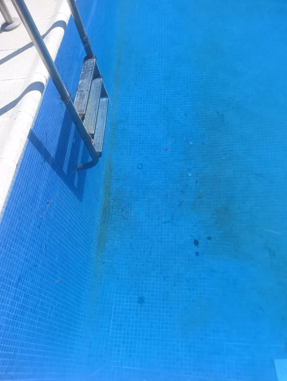 Iraida Sánchez Aguilar en su estacia en Casa Rural El Pinar 6018_4