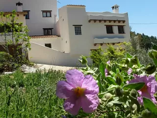 Casa Los Gatos - Los Ahijaderos de Tus