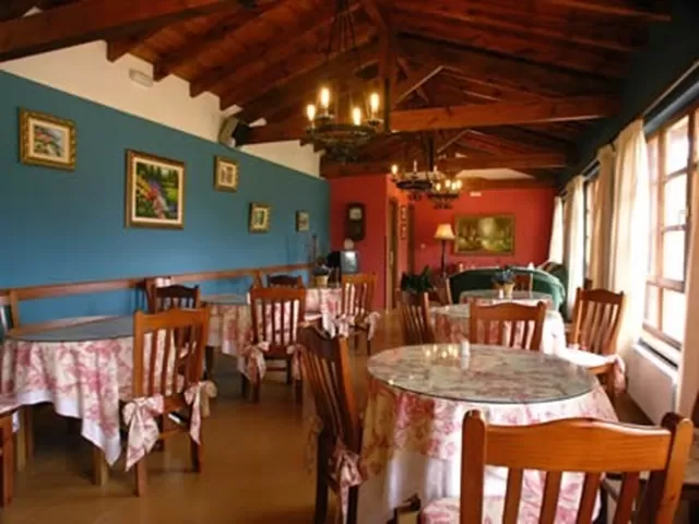 Salle 15