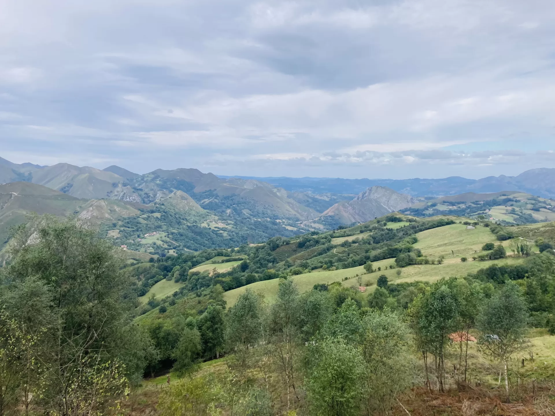 Lydia Calle Bernardos in your stay in Casa Covadonga - Fontecha 6330_1