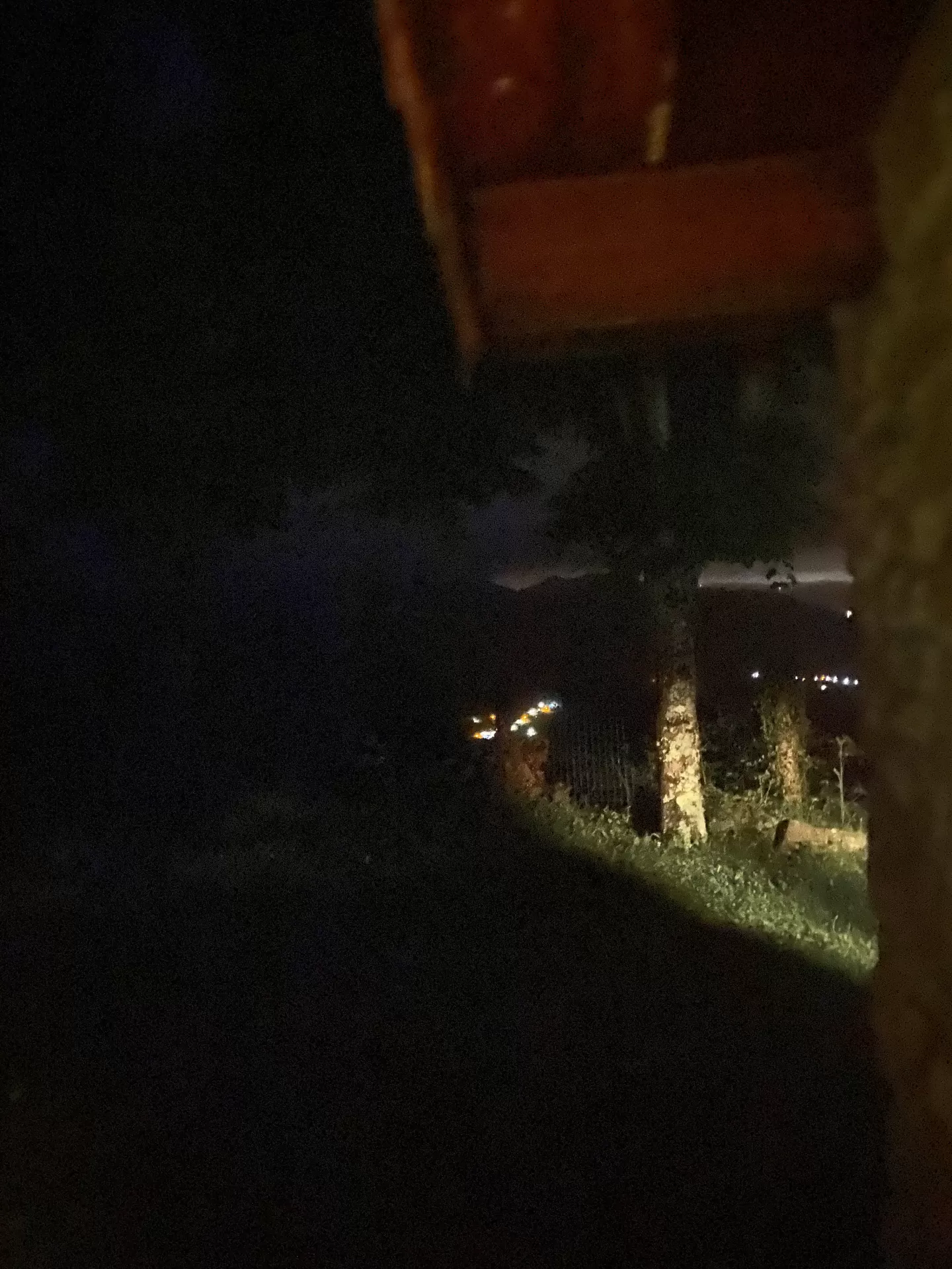 Patrícia balade jinenez  en su estacia en Casa Covadonga - Fontecha 3873_1