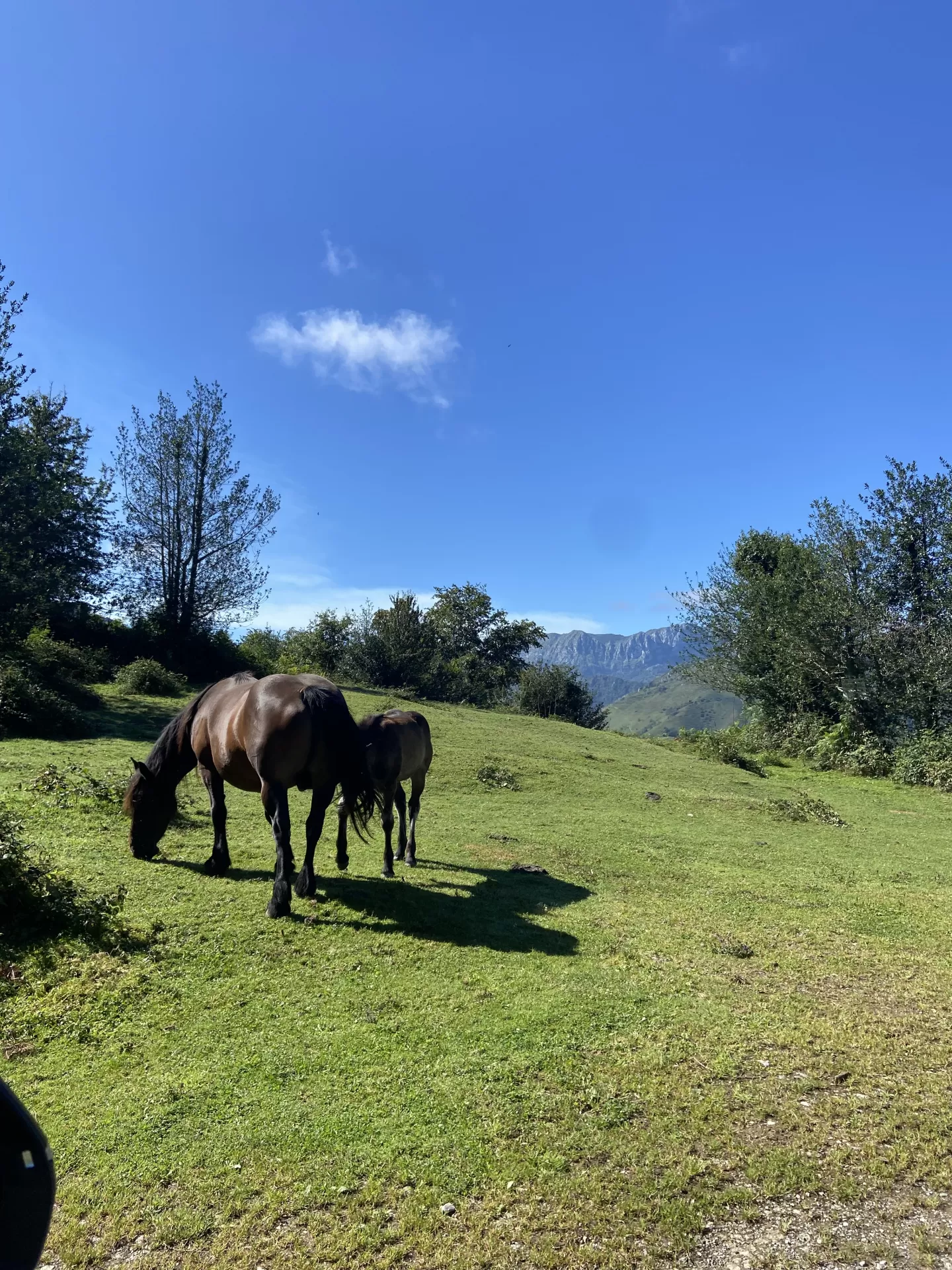 Patrícia balade jinenez  en su estacia en Casa Covadonga - Fontecha 3873_5