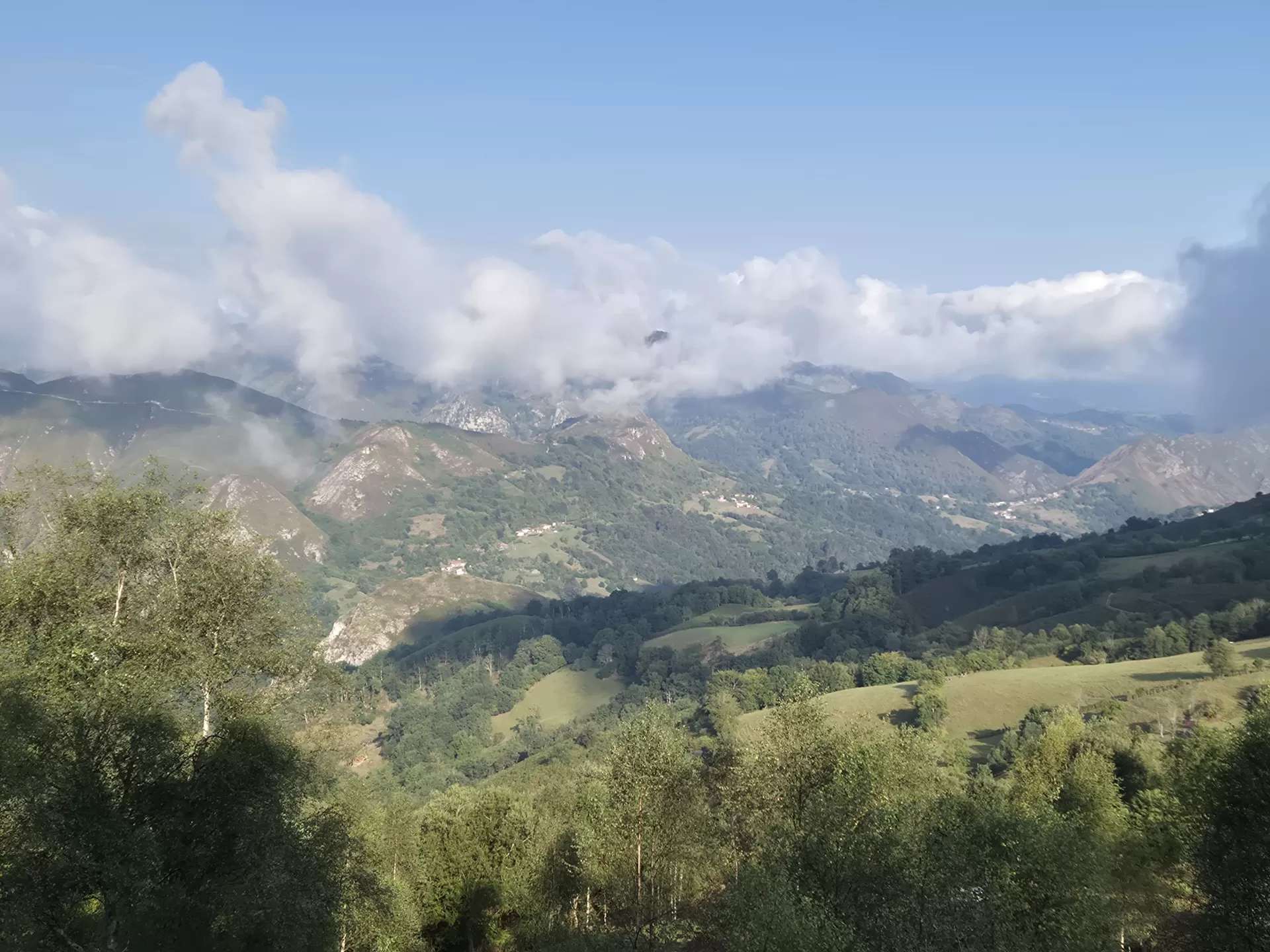 Jorge Hidalgo Conde  in your stay in Casa Covadonga - Fontecha 6300_6