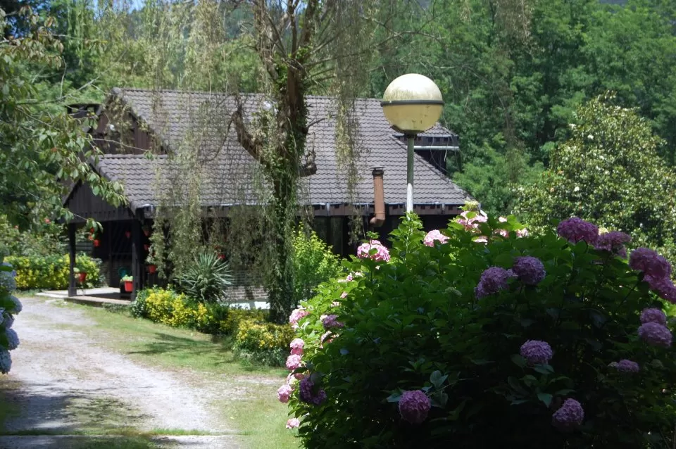 Belazarte