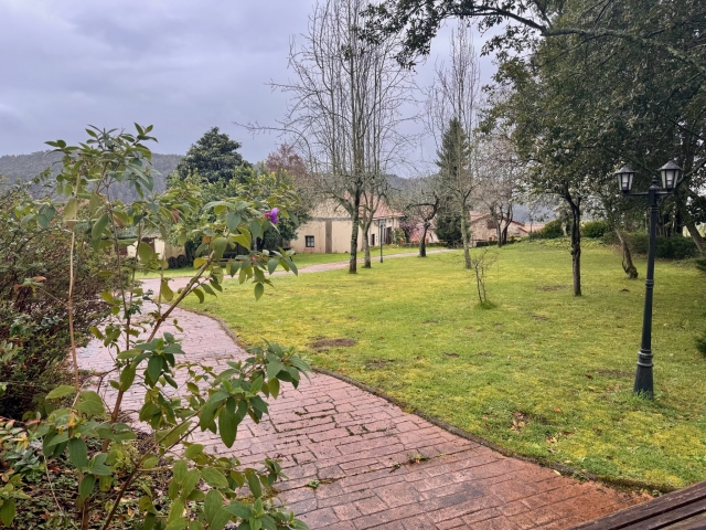 Jardin y camino