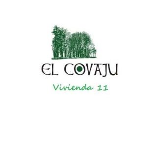 Logo 11