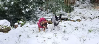María Auxiliadora Izquierdo dans son séjour à El Covaju- Vivienda 14 6687_1