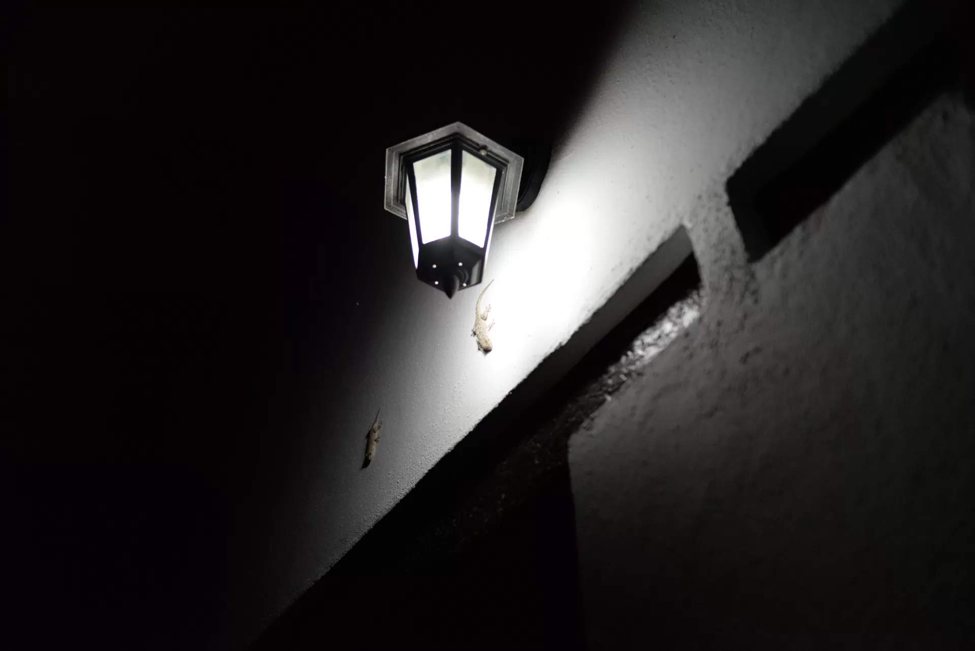 M Angeles dans son séjour à Villa Mariana 1615_1