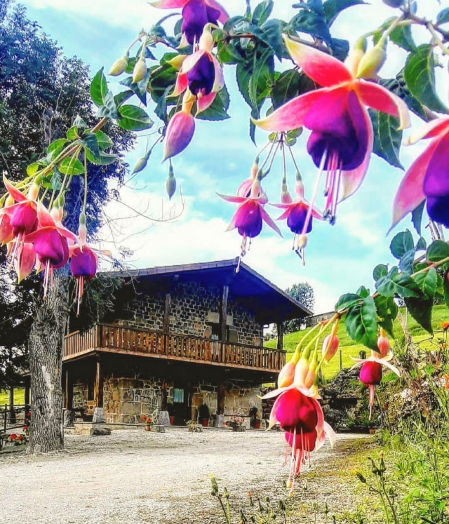 La casa y flores