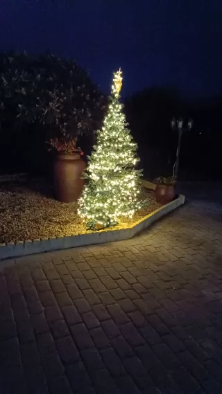 Antonio Zamora Ayora dans son séjour à Can Gual 6680_2