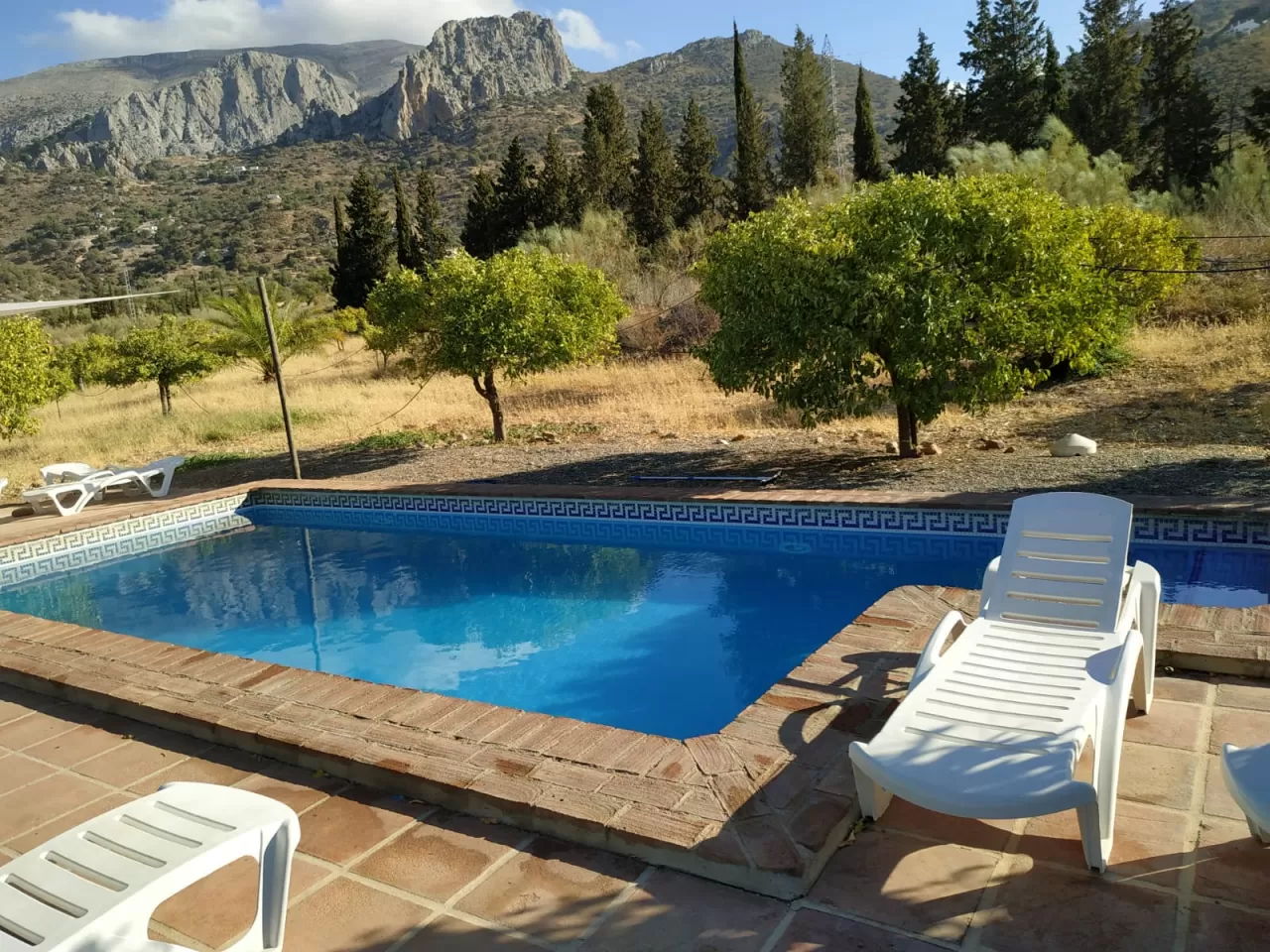 Cortijo Don Rodrigo 