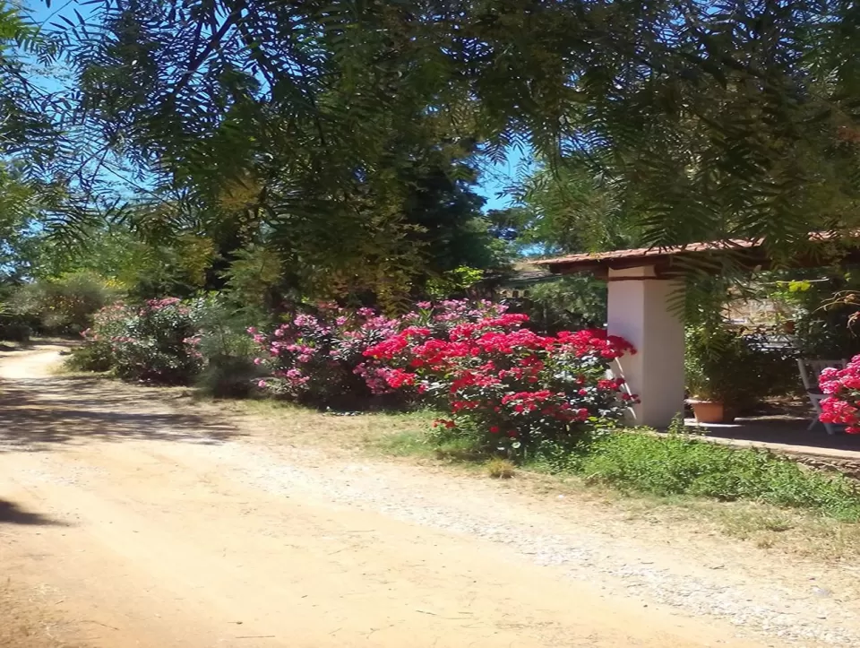 Cortijo El Berrocal