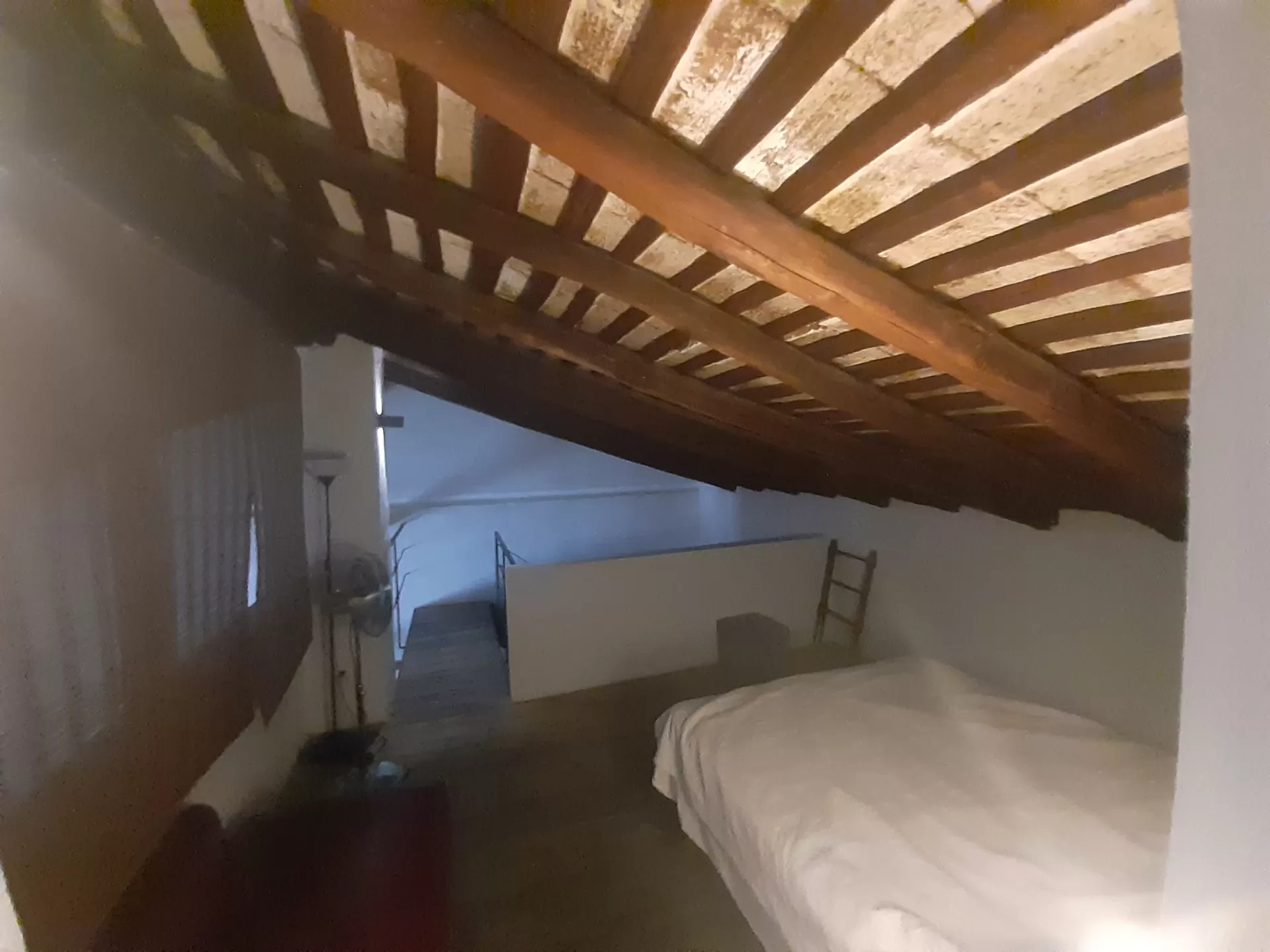 Rafael Alfonso Luna Murillo in your stay in Los Pozos de la Nieve 3398_1