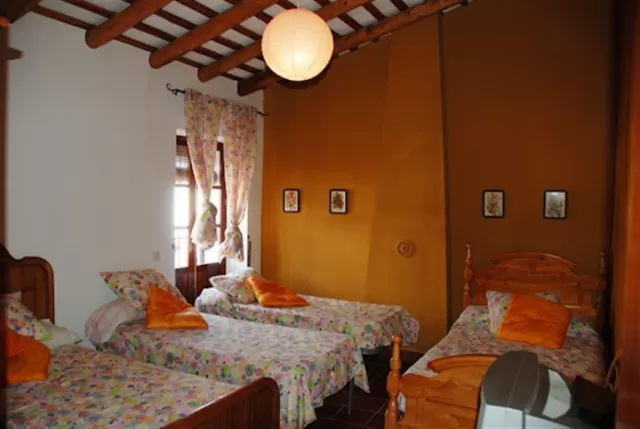 Habitación Albero