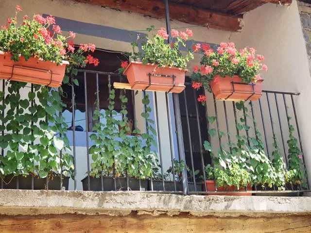 Habitación Arañón