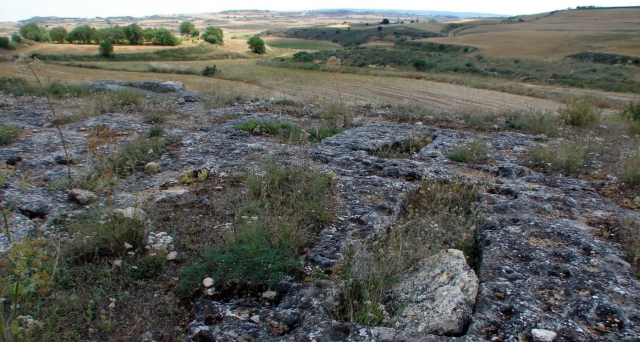 Cantosares