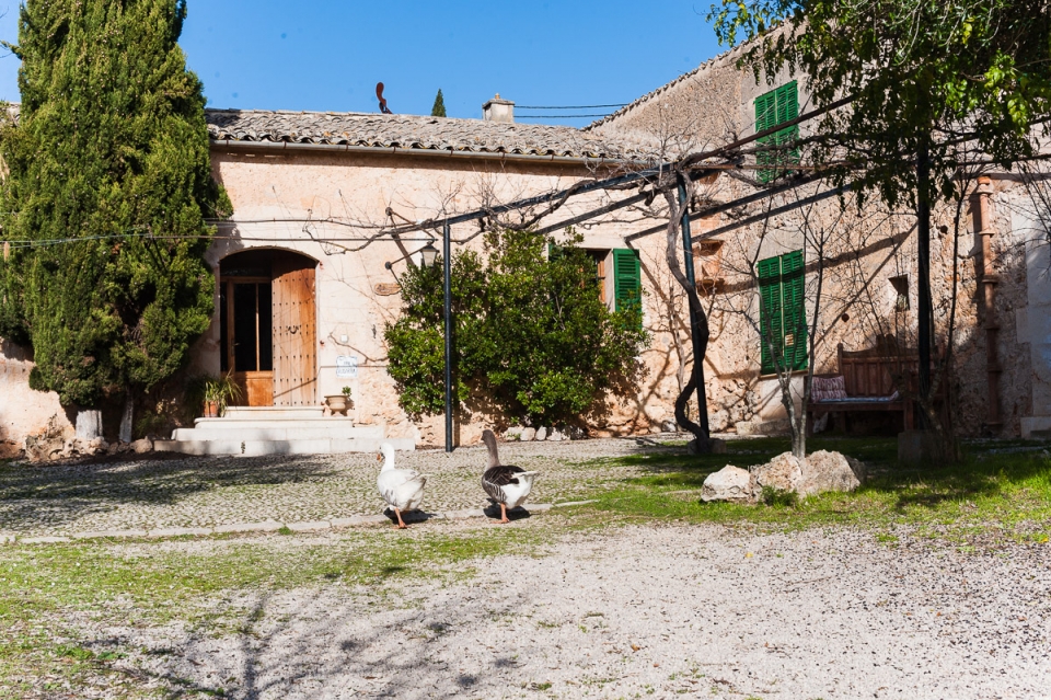 615 Casas Rurales en Mallorca | CasasRurales.net