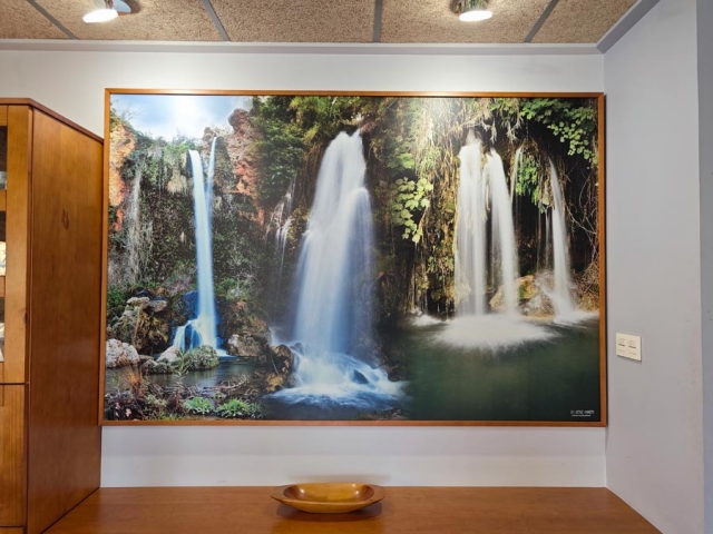 Decoracion del salon 