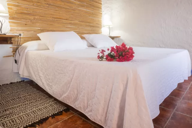 Casa Aloe Vera- Casas de 1 dormitorio